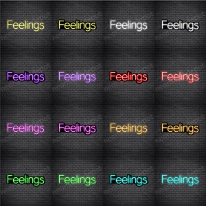 Feelings V2 Neon Sign